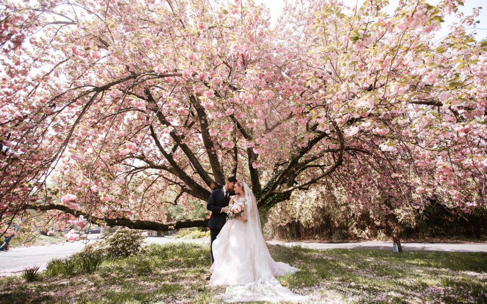 Bride and groom under flowering tree