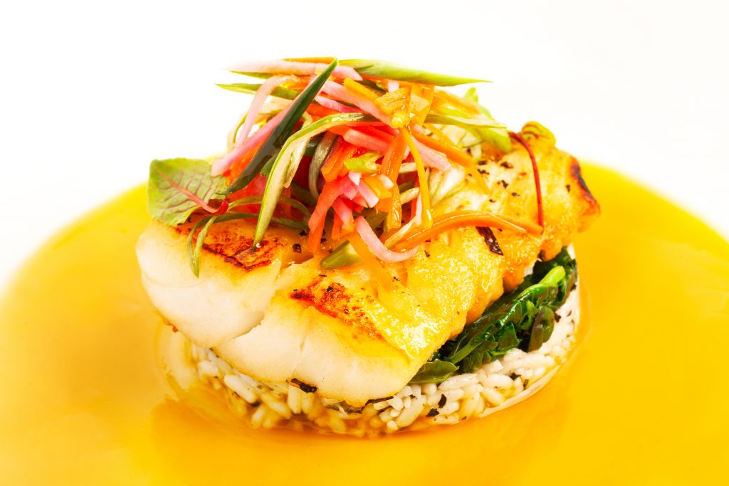 Miso Cod