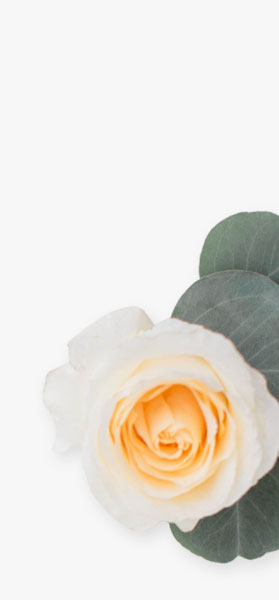 wedding catering background flower right