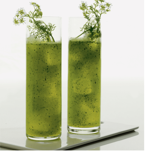 Cinco de Mayo Drink: Cilantro Cooler