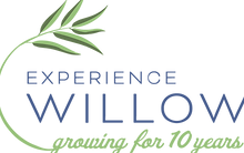 Experience Willow yr Logo