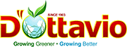 D’Ottavio Farms logo